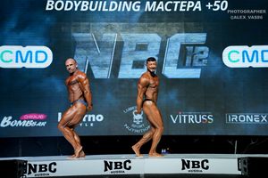BODYBUILDING МАСТЕРА +50